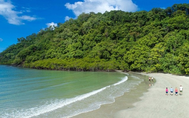 Daintree Rainforest & Cape Tribulation Tour