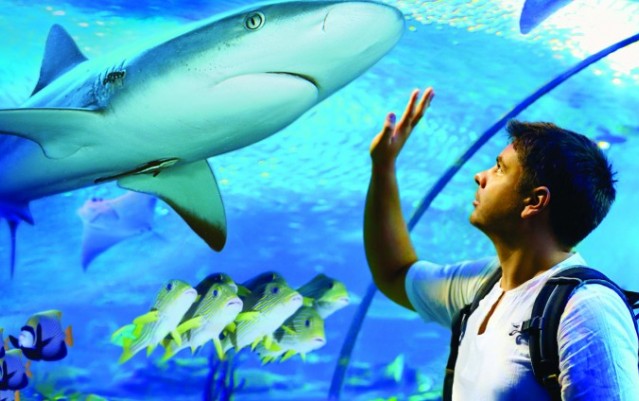 Cairns Aquarium