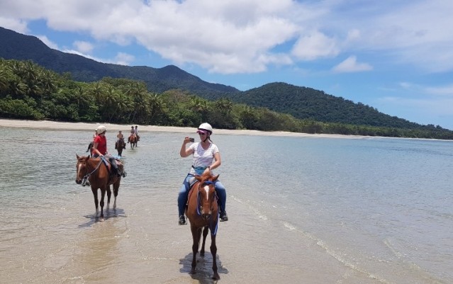 Horse Riding - Cape Tribulation Horse Rides