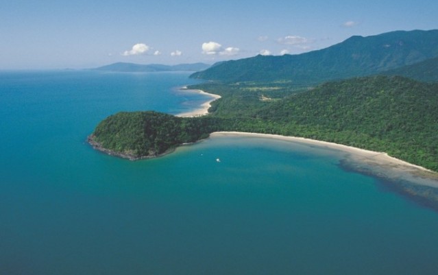 Cape Tribulation & Daintree Rainforest Tour