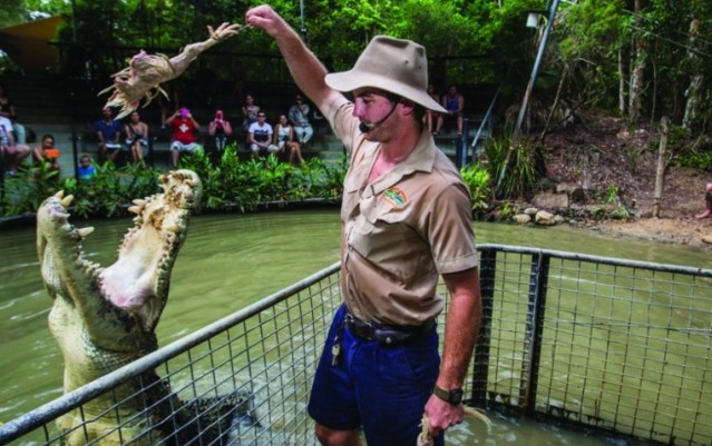 Hartley's Crocodile Adventures