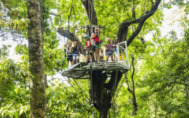 Jungle Surfing - Cape Tribulation