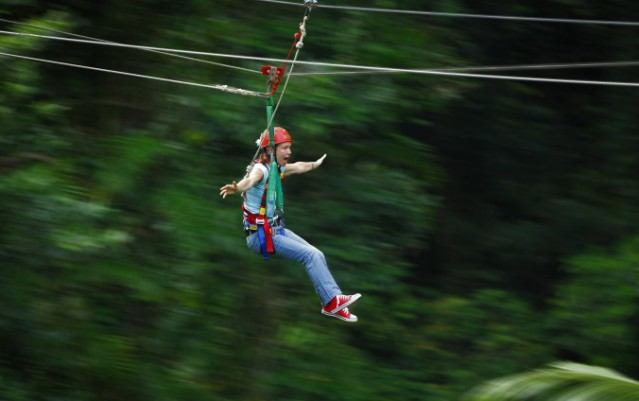 Jungle Surfing & Cape Tribulation Highlights