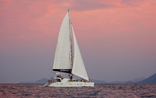 Low Isles Afternoon Cruise - Sailaway