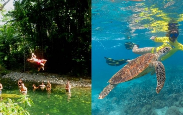 Cape Tribulation 2 Day Combo Tour - Rainforest & Reef Snorkel