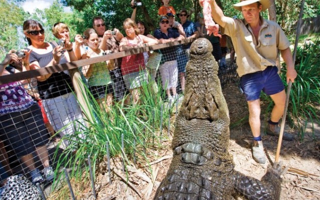 Hartleys Crocodile Adventures
