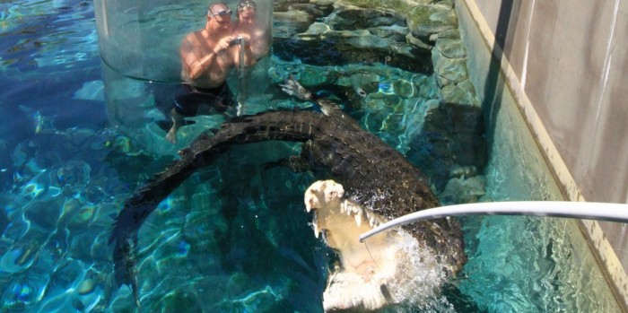 Crocosaurus Cove Cage of Death, Darwin Everything Australia - Main Image