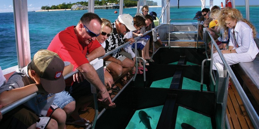 Glass Bottom Boat Snorkel