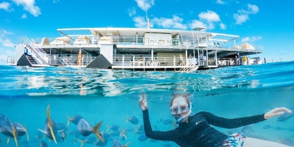 cruise whitsundays reefworld