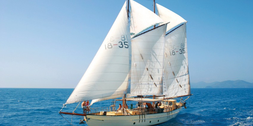 Whitsundays Sailing - Day Trip - Derwent Hunter
