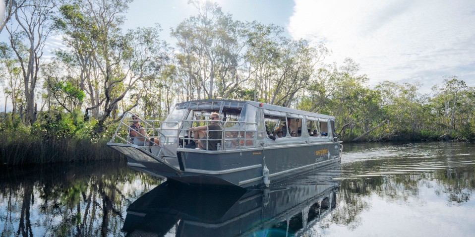 noosa everglades afternoon cruise review