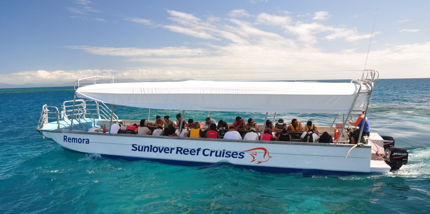 sunlover reef cruises cairns