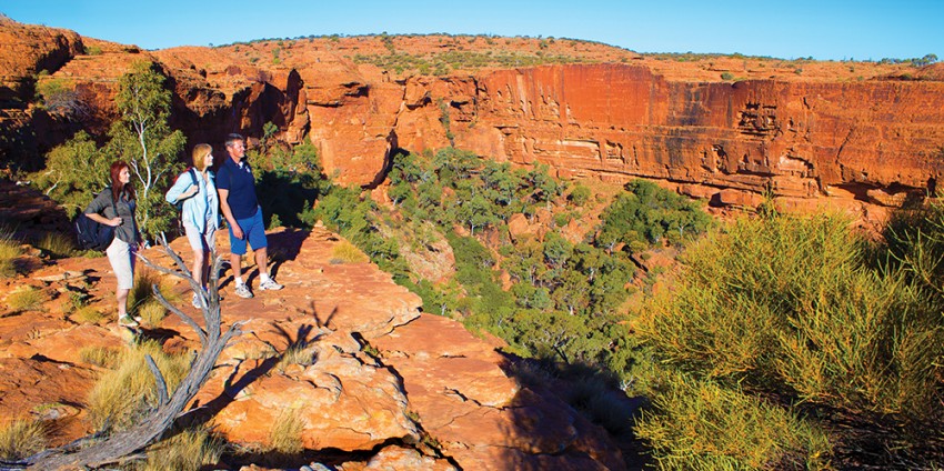 tour uluru kings canyon