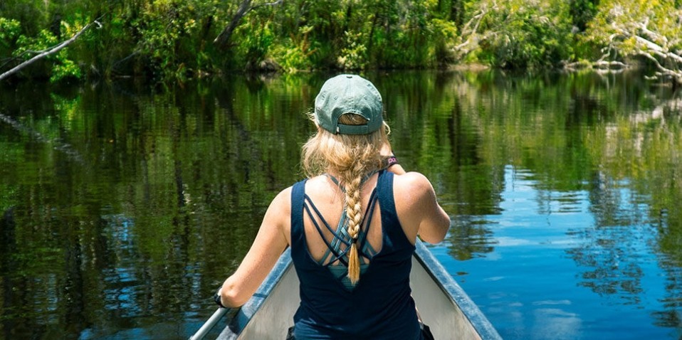 noosa everglades cruise and canoe