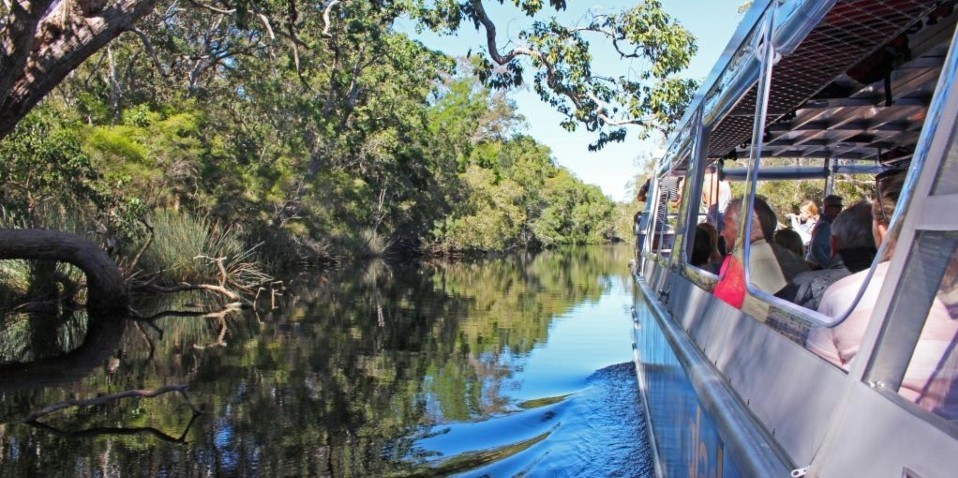 noosa everglades cruise and canoe