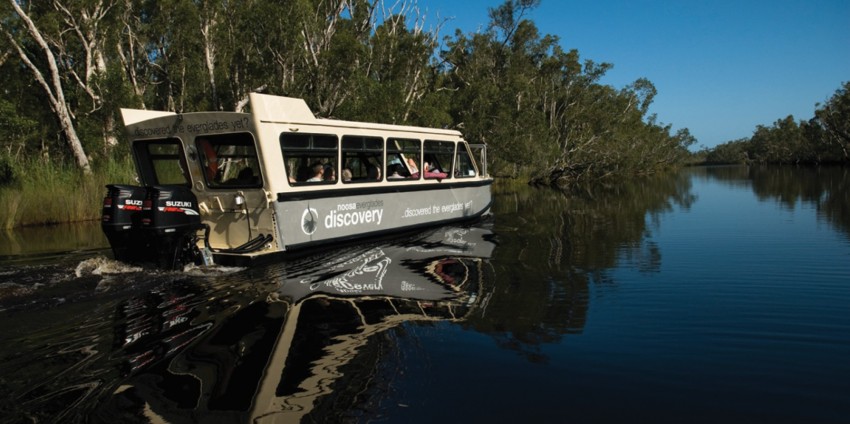 Noosa Everglades - BBQ Lunch River Cruise