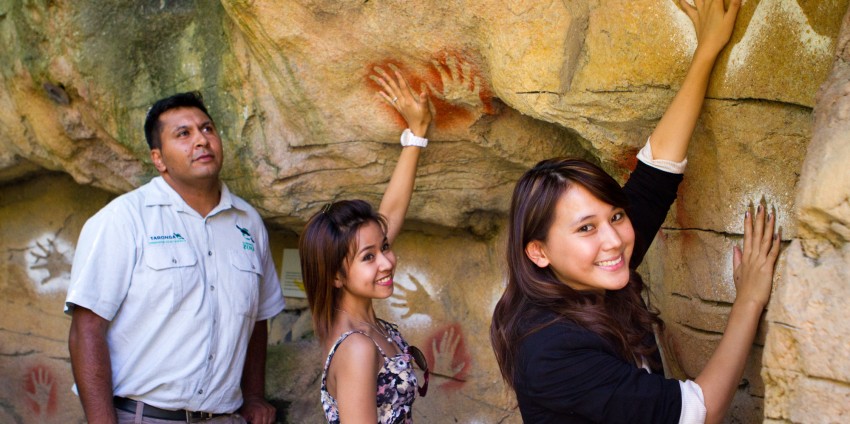 Taronga Zoo Guided Tour - Aboriginal Discovery Tour