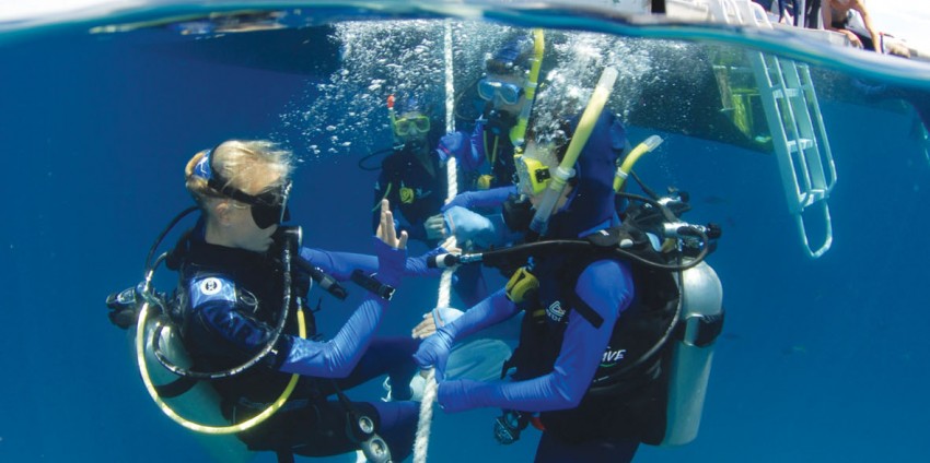 Learn to Dive Course - 4 Days - Port Douglas - Blue Dive
