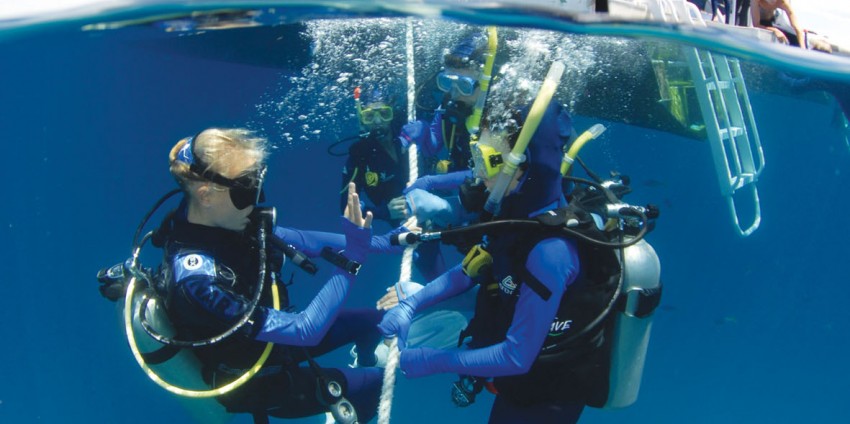 poseidon diving & boat tours avis