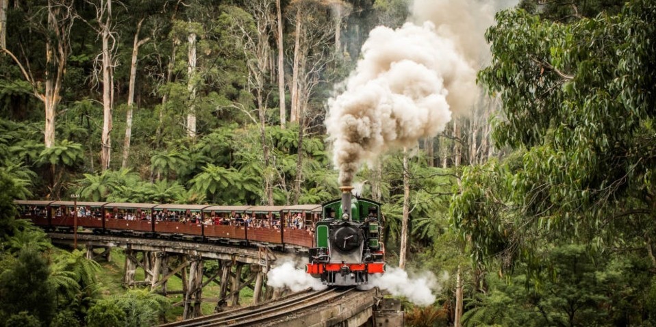 Puffing Billy & Blue Dandenongs