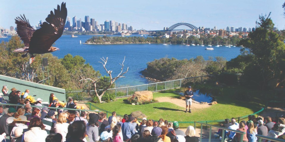 australia zoo guided tours