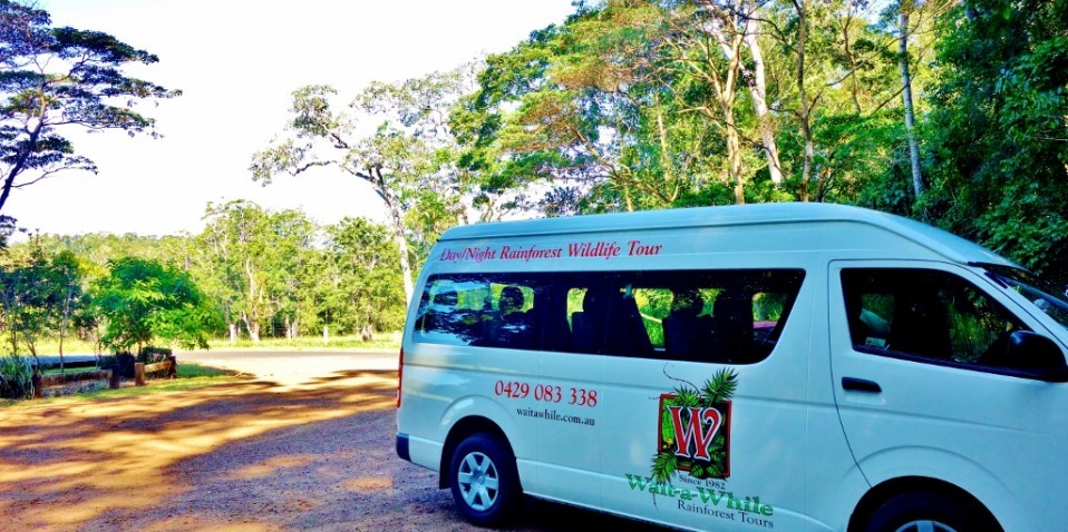 rainforest bus tour