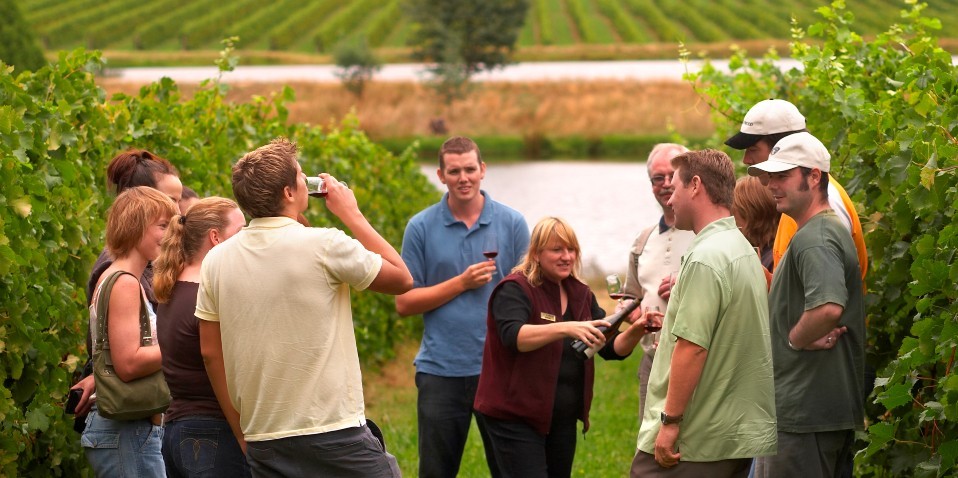 Wine Tours - Yarra Valley Wine Experience