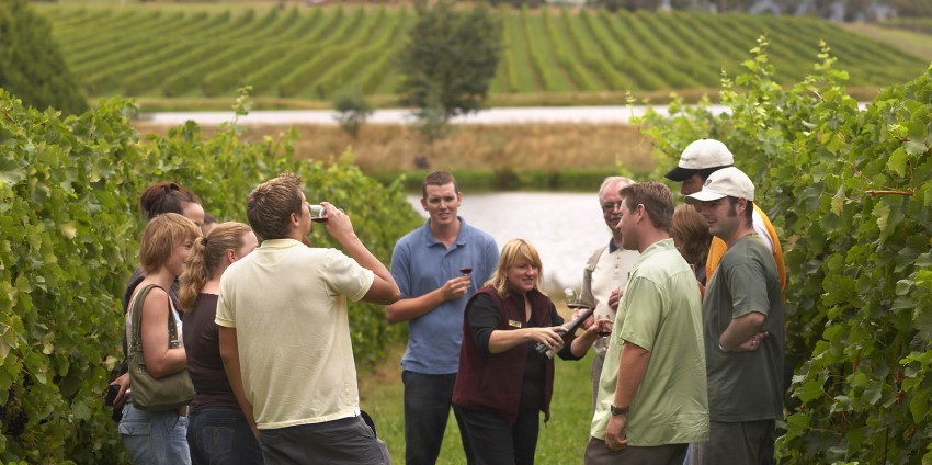 Wine Tours - Yarra Valley Wine Experience