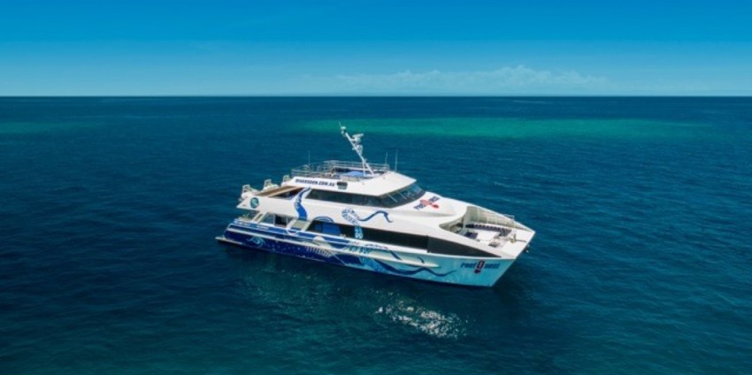 reef journeyer