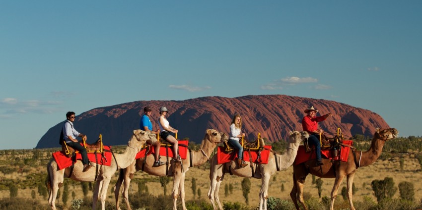 Camel Rides - Uluru Camel Tours