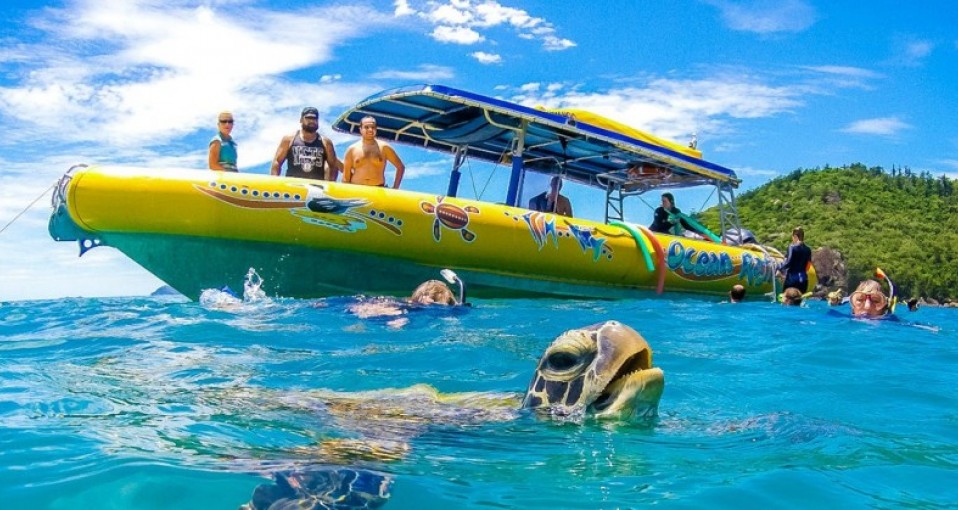 airlie beach tours and activities