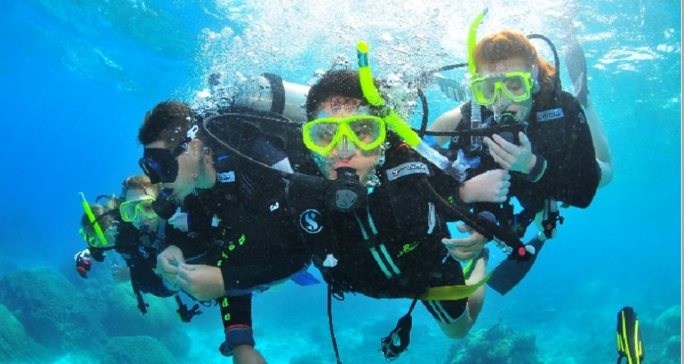 Great Barrier Reef Tours