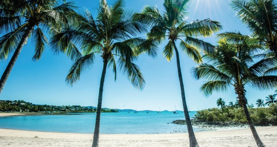 Airlie Beach & Whitsunday Activities