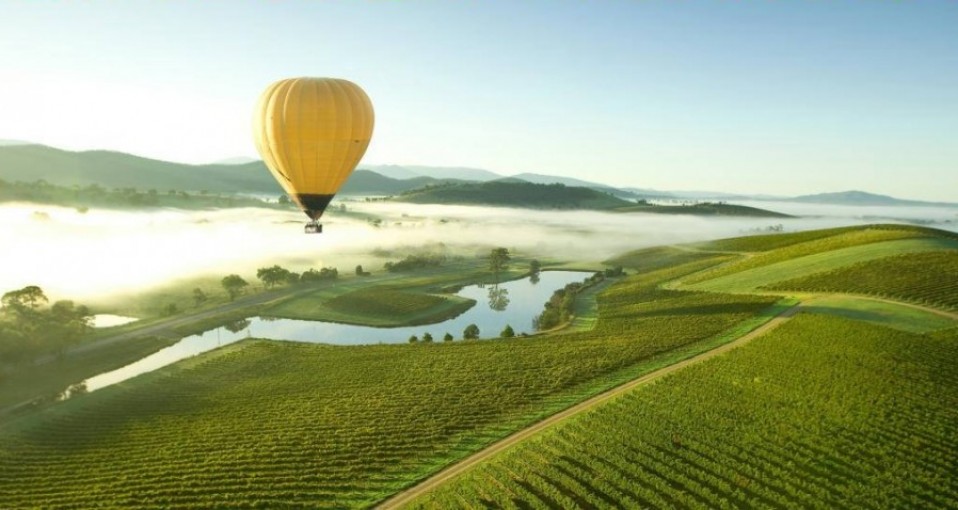 Hunter Valley Tours